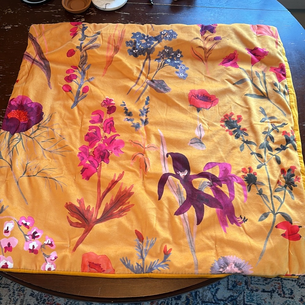 Anthropologie Layne Velvet Euro Sham. 26” x 26”.